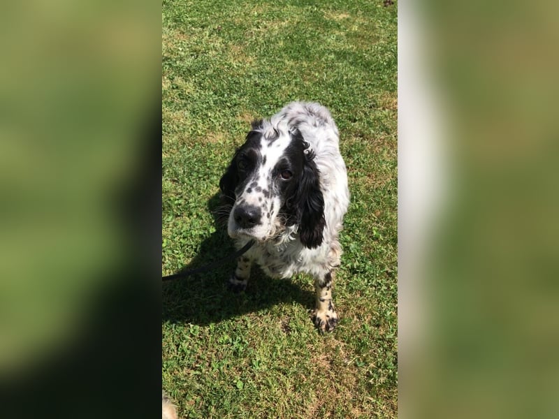 Fuorimano - Alles verloren, außer der Hoffnung auf einen Neuanfang