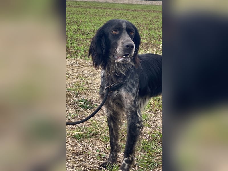 Coca - Zwischen gestern und morgen