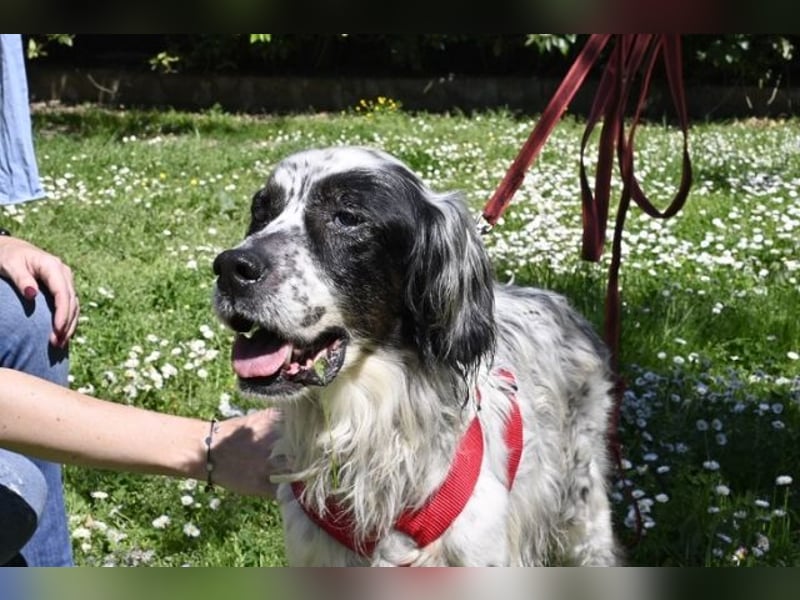 Toby - NOTFALL - Wenn die Welt plötzlich still und dunkel wird