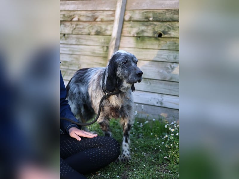 Linda - Und plötzlich kann alles gut werden