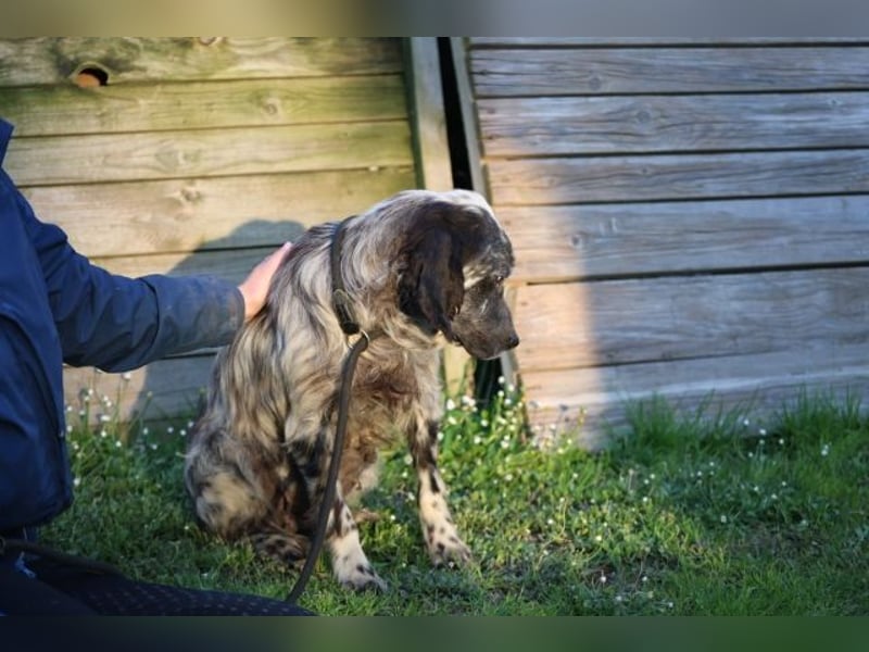 Linda - Und plötzlich kann alles gut werden
