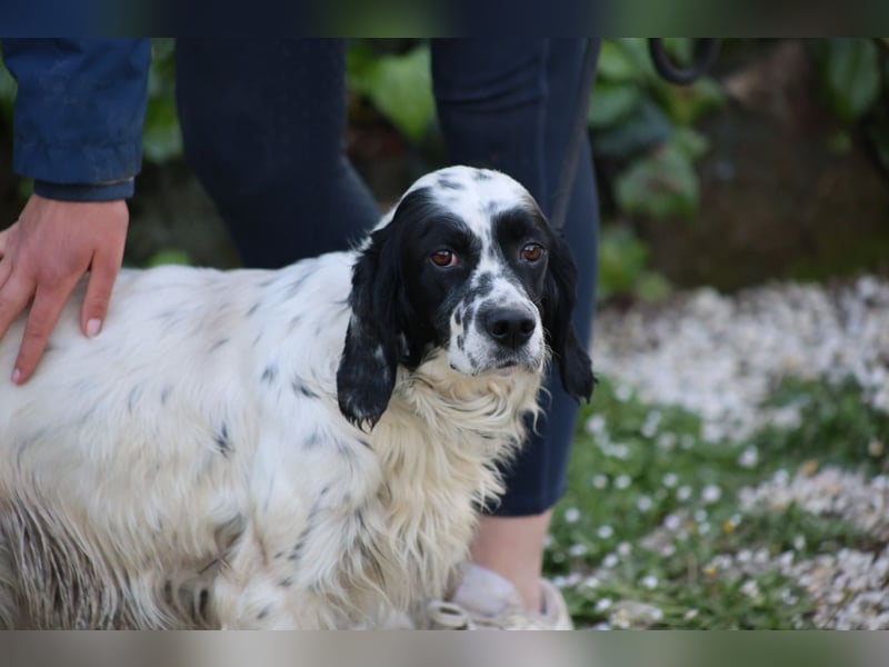 Fola - bereit, die Welt gemeinsam zu entdecken