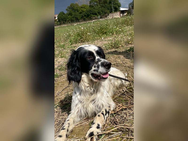 Fola - bereit, die Welt gemeinsam zu entdecken