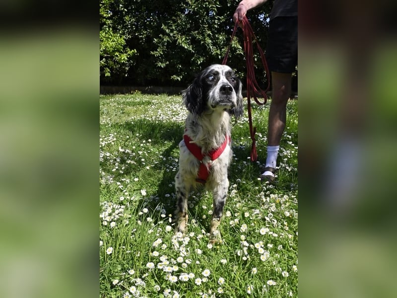 Toby - NOTFALL - Wenn die Welt plötzlich still und dunkel wird