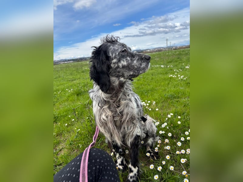 Elettra - Das Leuchten für immer