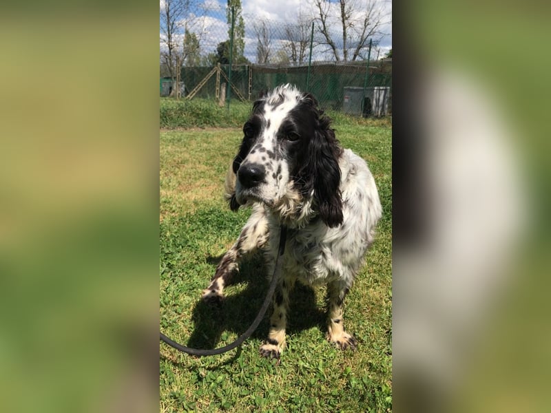 Fuorimano - Alles verloren, außer der Hoffnung auf einen Neuanfang