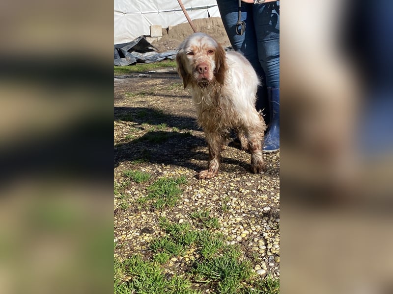 Beto - Mehr Braucht man nicht