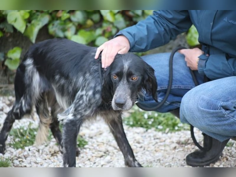 Coca - Zwischen gestern und morgen