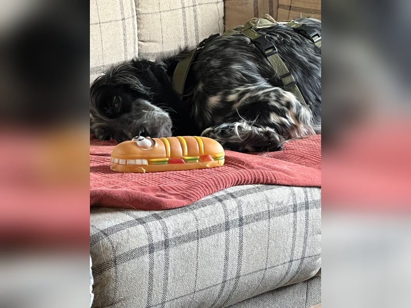 Helvetia - Angst beginnt im Kopf ? Mut auch!