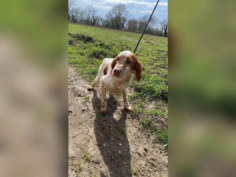 Fiamma - Eine kleine Seele auf großer Reise