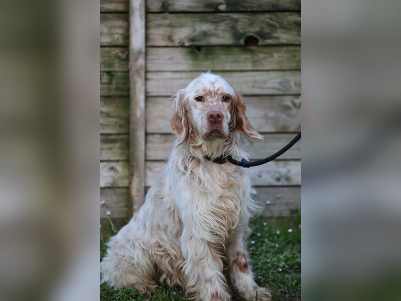 Beto - Mehr Braucht man nicht