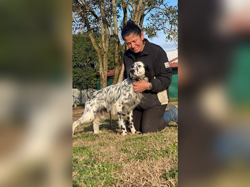 Flik - „A star is born!“