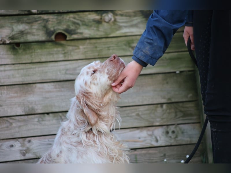 Beto - Mehr Braucht man nicht
