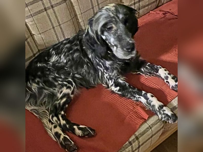 Helvetia - Angst beginnt im Kopf ? Mut auch!