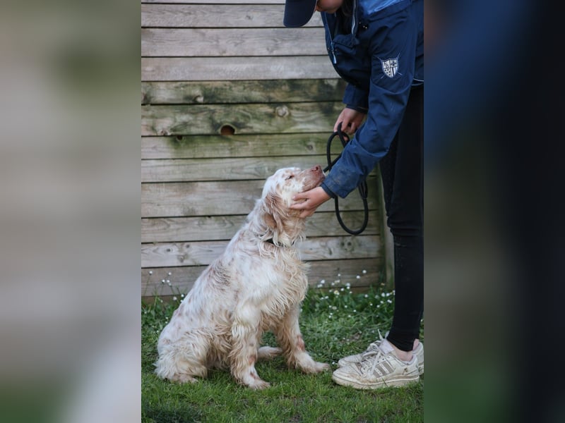 Beto - Mehr Braucht man nicht