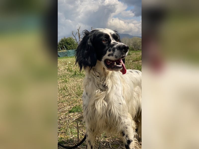 Fola - bereit, die Welt gemeinsam zu entdecken