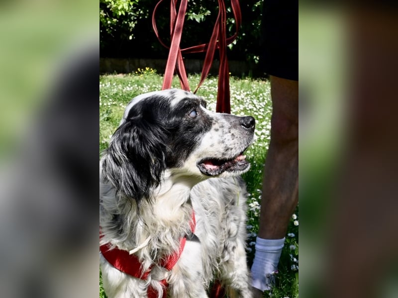 Toby - NOTFALL - Wenn die Welt plötzlich still und dunkel wird