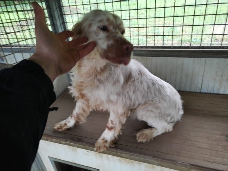 Beto - Mehr Braucht man nicht