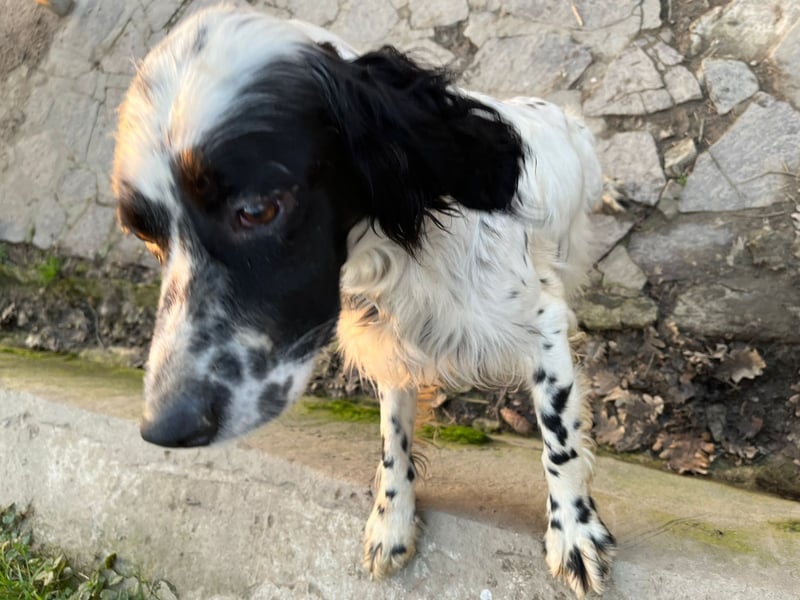 Fola - bereit, die Welt gemeinsam zu entdecken