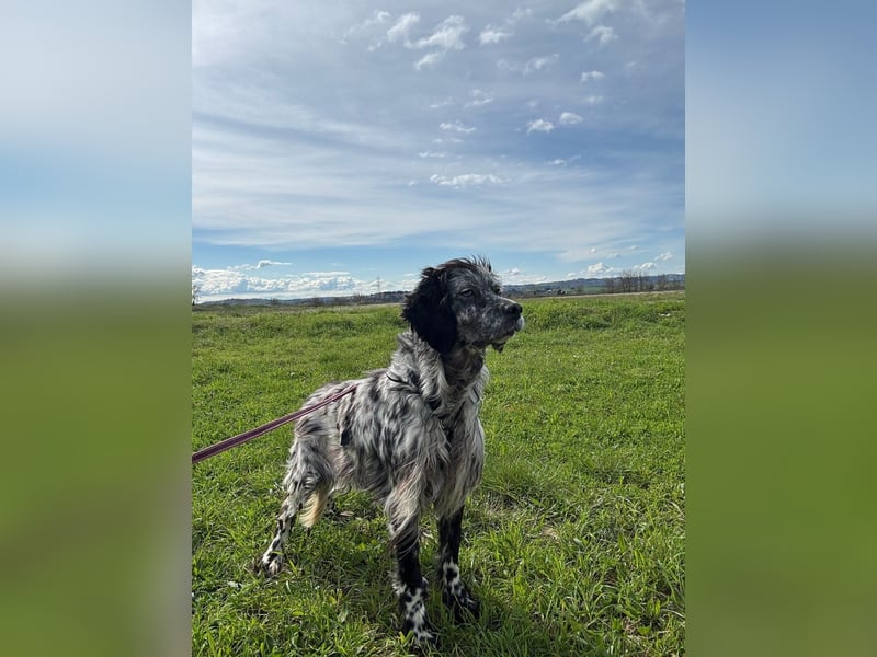 Elettra - Das Leuchten für immer