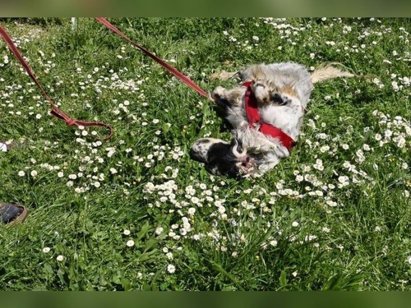 Toby - NOTFALL - Wenn die Welt plötzlich still und dunkel wird