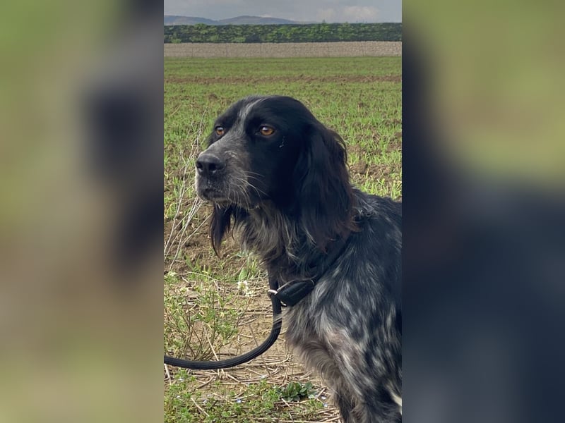 Coca - Zwischen gestern und morgen