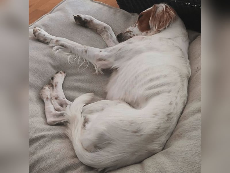 Annette - ein sanftes Huhu!