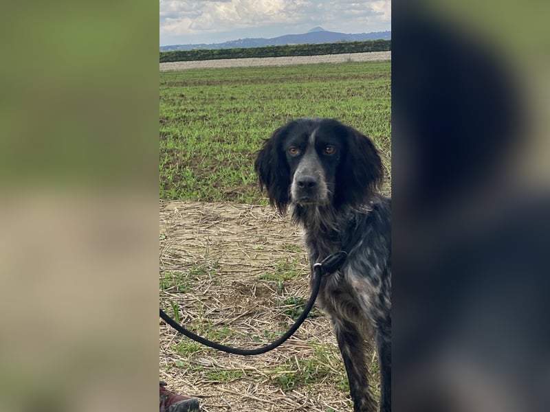 Coca - Zwischen gestern und morgen