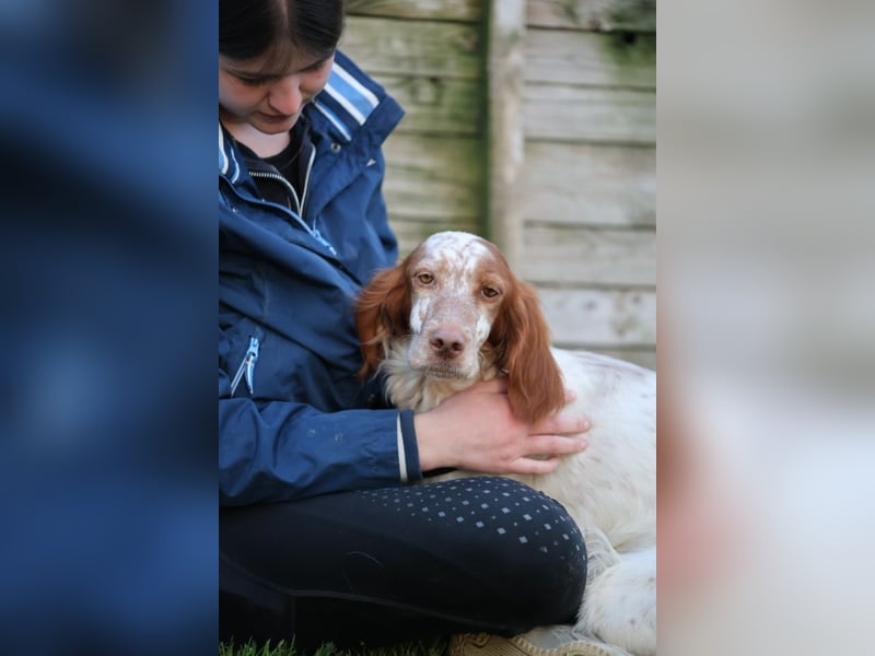 Fiamma - Eine kleine Seele auf großer Reise