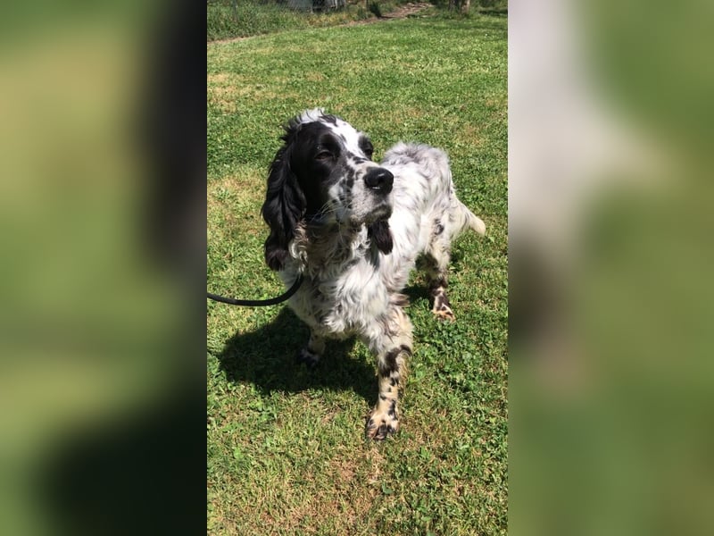 Fuorimano - Alles verloren, außer der Hoffnung auf einen Neuanfang