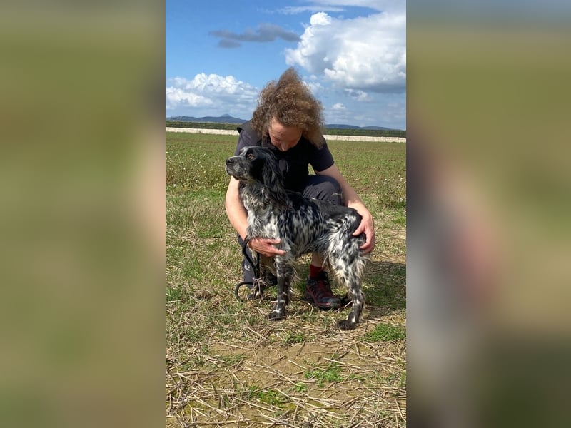 Kira - Darf ich jetzt einfach Hund sein?