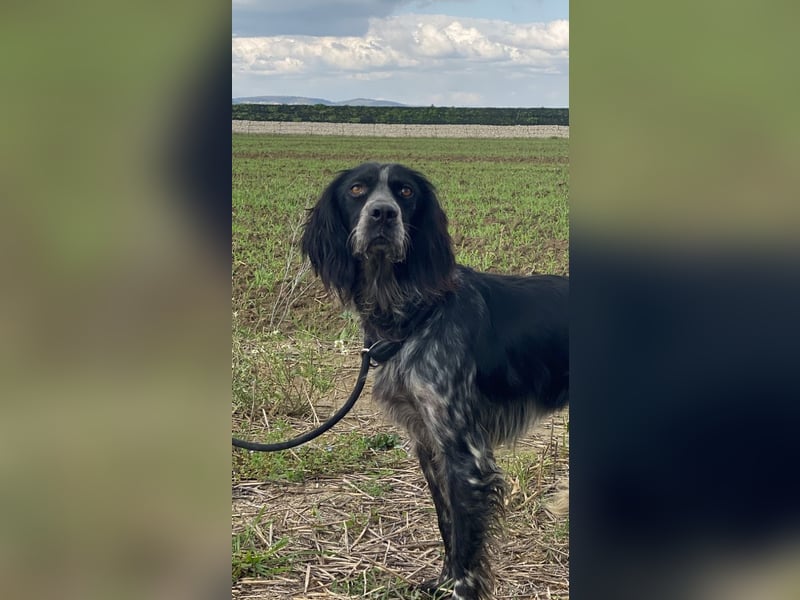 Coca - Zwischen gestern und morgen