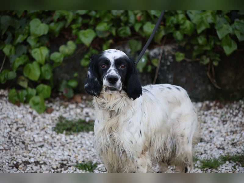 Fola - bereit, die Welt gemeinsam zu entdecken