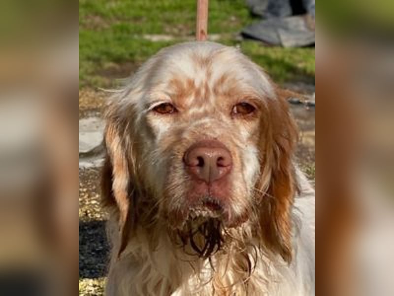 Beto - Mehr Braucht man nicht