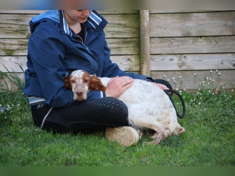 Fiamma - Eine kleine Seele auf großer Reise