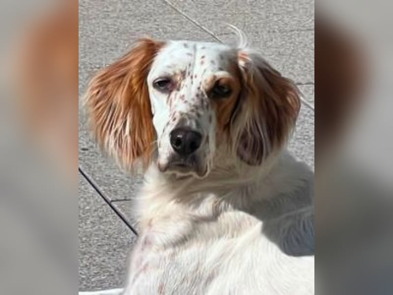 Annette - ein sanftes Huhu!