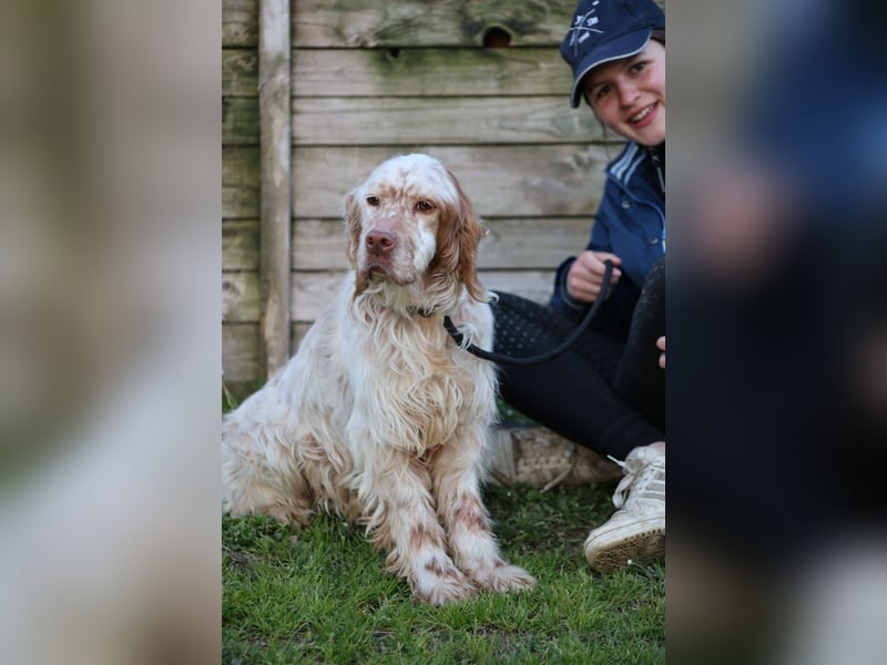 Beto - Mehr Braucht man nicht