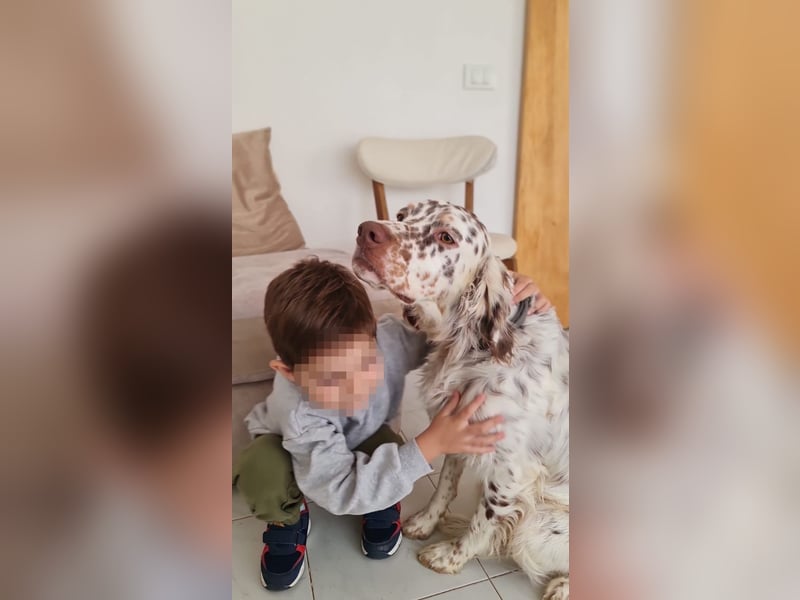 Sirio - Familienanhang bevorzugt