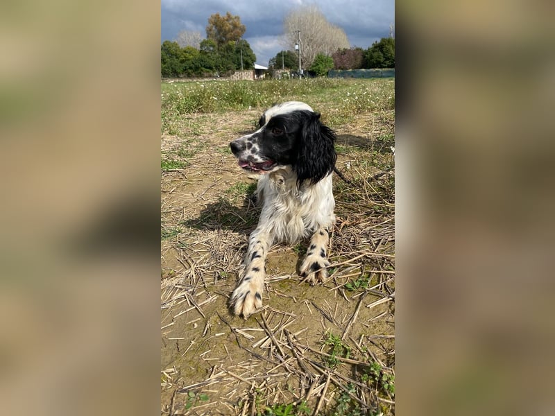 Fola - bereit, die Welt gemeinsam zu entdecken