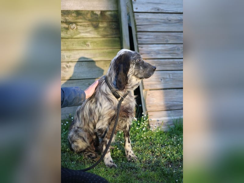 Linda - Und plötzlich kann alles gut werden