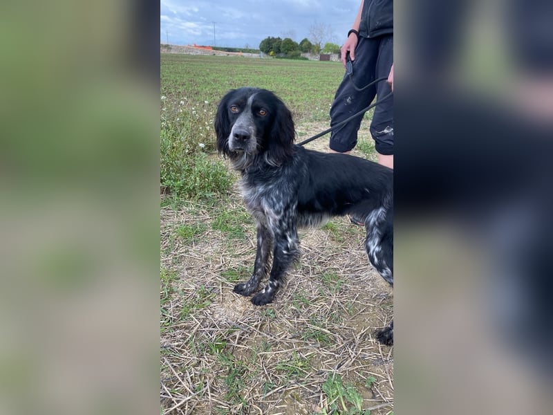 Coca - Zwischen gestern und morgen