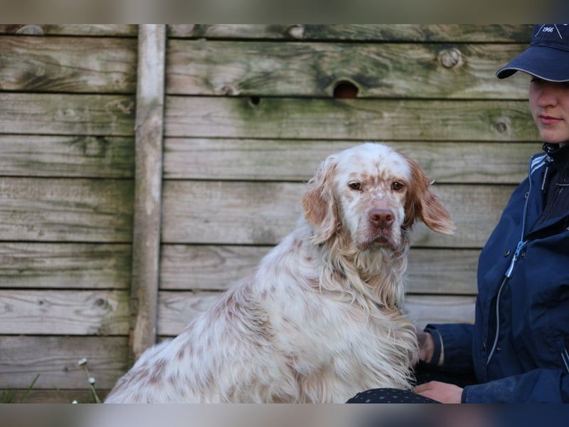 Beto - Mehr Braucht man nicht
