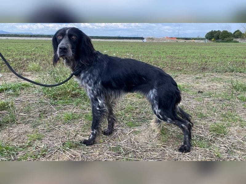 Coca - Zwischen gestern und morgen