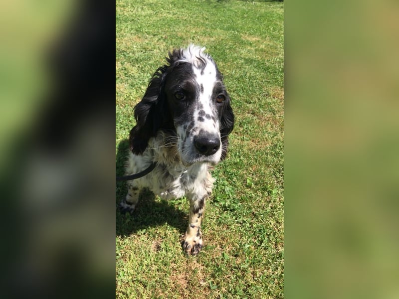 Fuorimano - Alles verloren, außer der Hoffnung auf einen Neuanfang