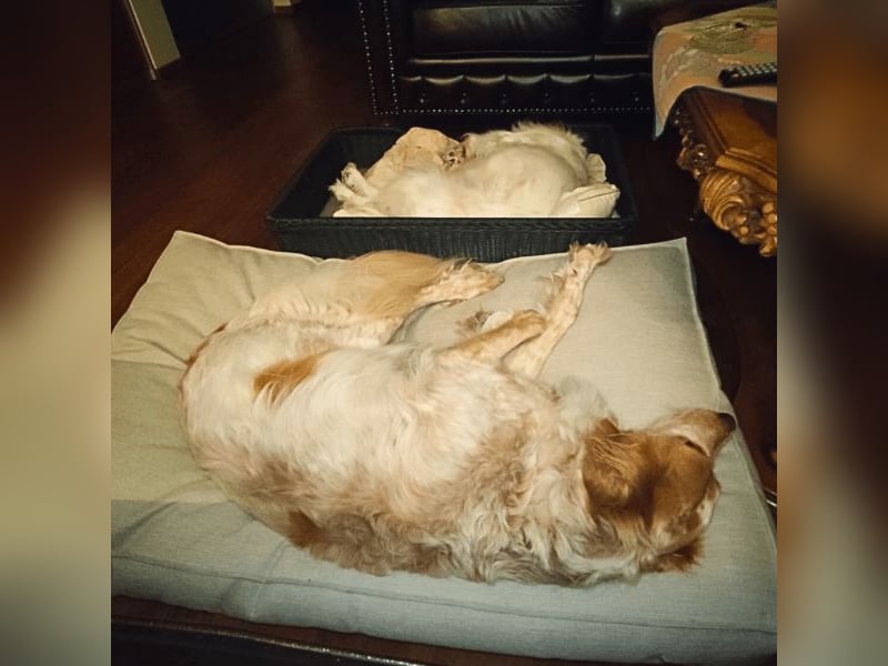 Annette - ein sanftes Huhu!