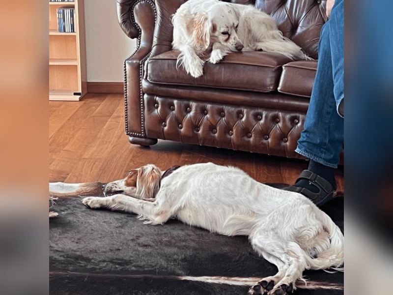 Annette - ein sanftes Huhu!