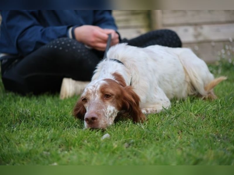 Fiamma - Eine kleine Seele auf großer Reise