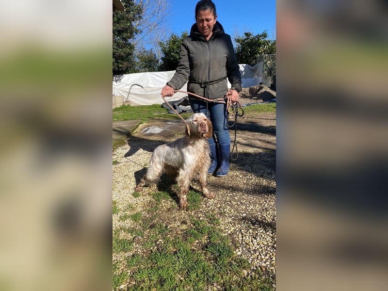 Beto - Mehr Braucht man nicht