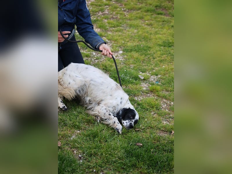 Fola - bereit, die Welt gemeinsam zu entdecken