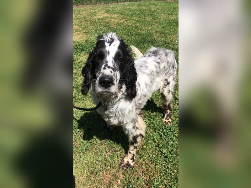 Fuorimano - Alles verloren, außer der Hoffnung auf einen Neuanfang